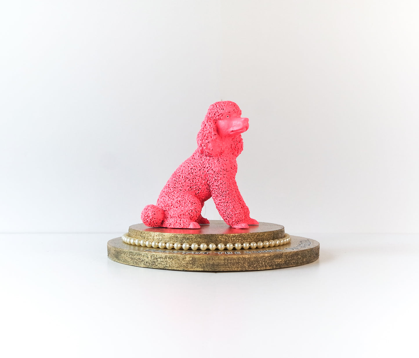 Don't put the poodle on a pedestal