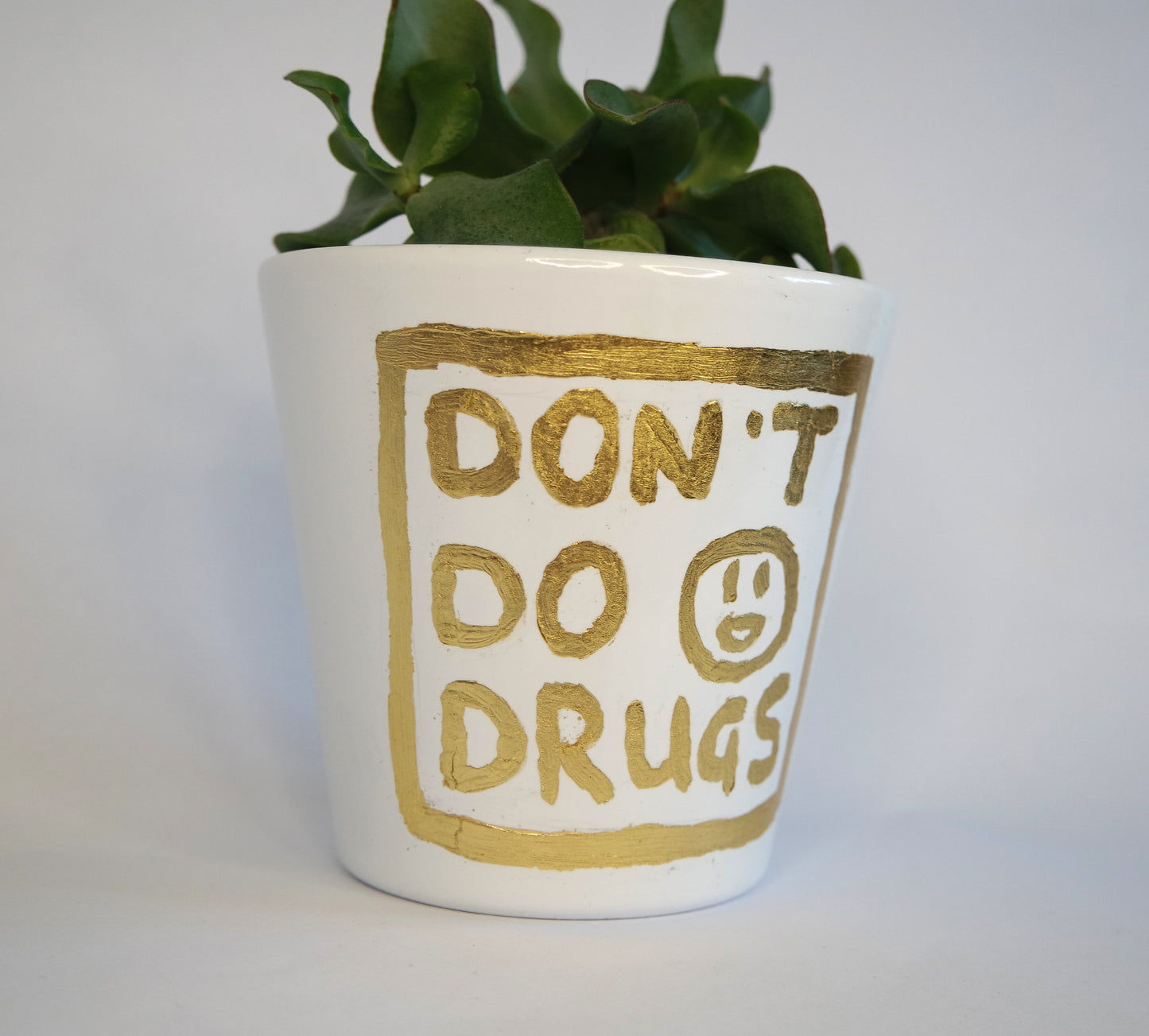 'Don't do drugs' planter