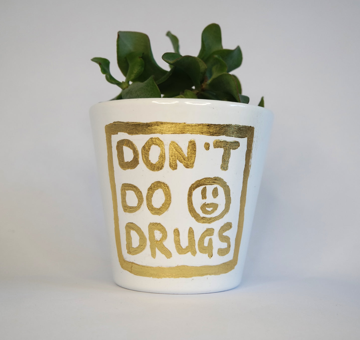 'Don't do drugs' planter