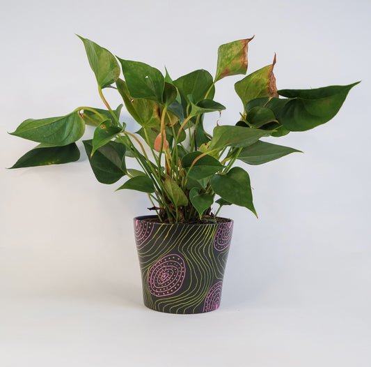 Black psychedelic planter